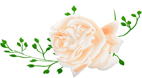 watercolor-rose-roses-pink-stem-4409227