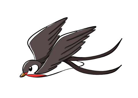 swallow-spring-bird-march-animal-4899406