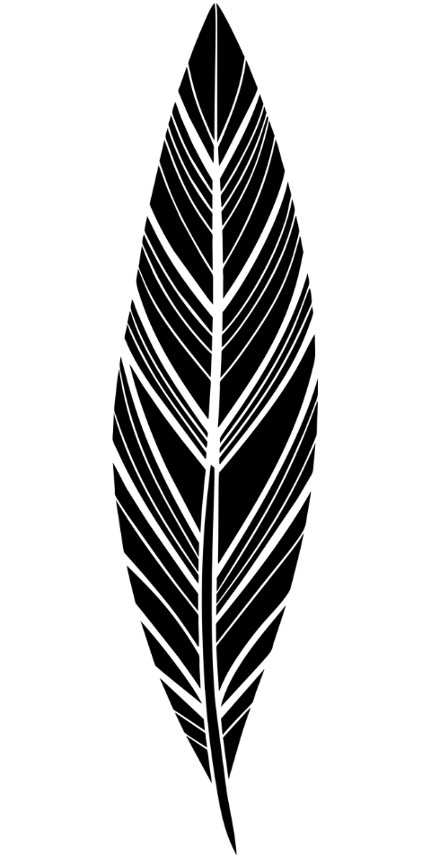 ai-generated-feather-quill-write-9125684
