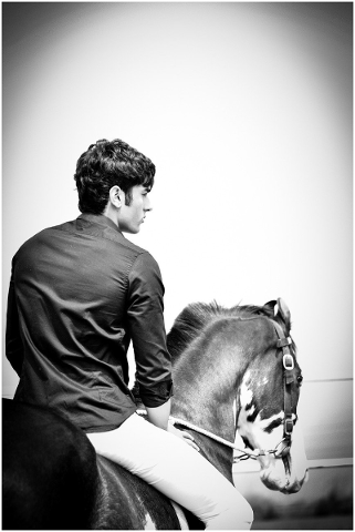 male-model-male-model-on-horse-horse-4887354