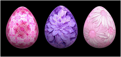 eggs-flowers-easter-spring-bloom-6098239