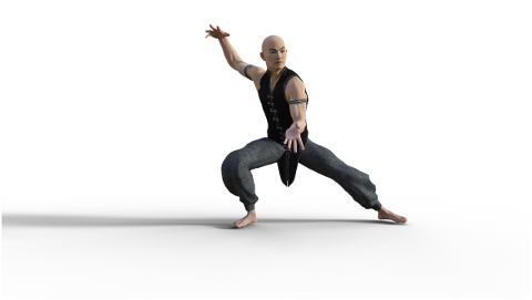 kung-fu-martial-arts-pose-fighter-4938613