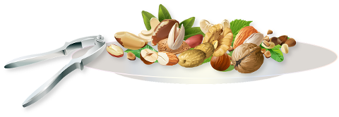 nuts-peanuts-cashews-plate-of-nuts-4579210