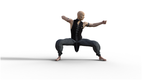 kung-fu-martial-arts-pose-fighter-4938609