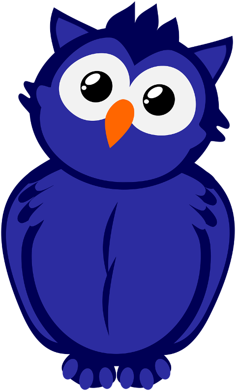 owl-bird-cartoon-owl-cartoon-animal-6715994