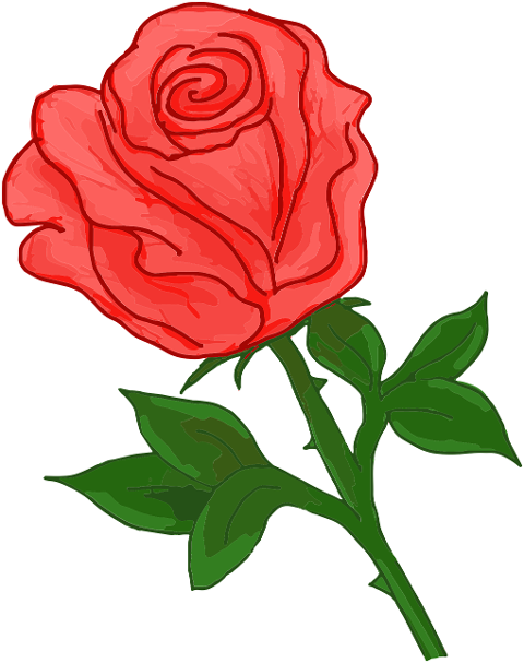 flower-love-romantic-thank-you-7741662