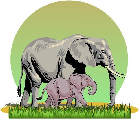 elephant-elephant-with-cub-safari-4462631