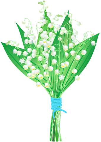 konwalie-spring-spring-bouquet-4982663