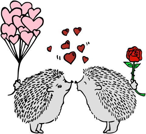 hedgehogs-couple-balloons-rose-5548117