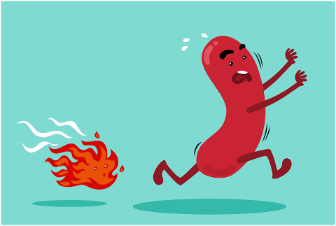 sausage-fire-cartoon-mascot-4463366