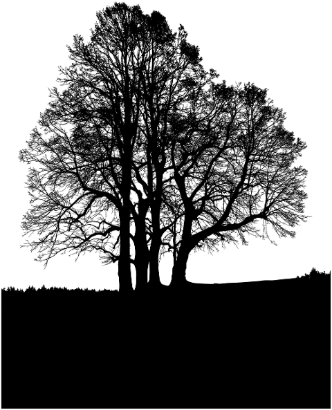 tree-silhouette-landscape-branches-6884235