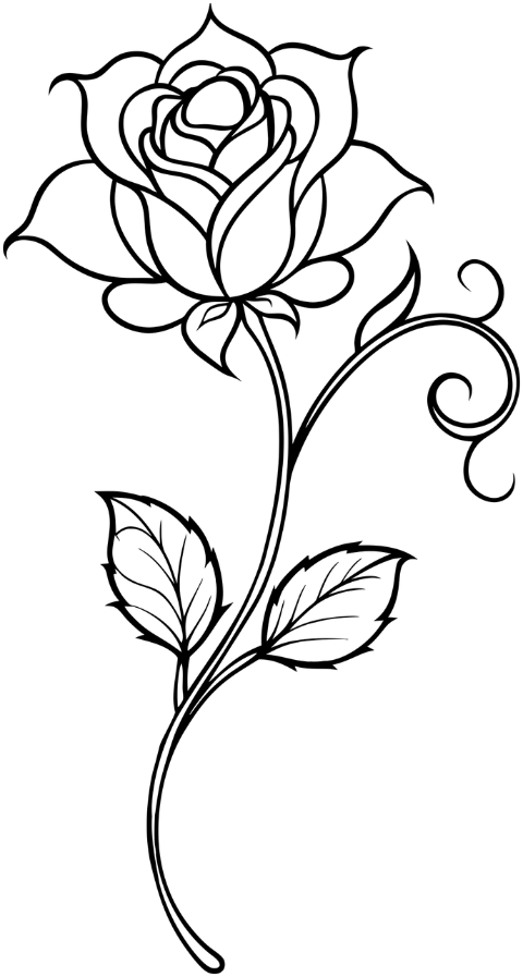 rose-flower-plant-decorative-8815288