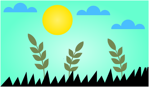 nature-sunset-sun-bush-spring-9844152