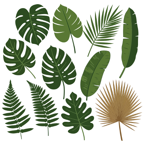 ai-generated-leaves-tropical-9548972
