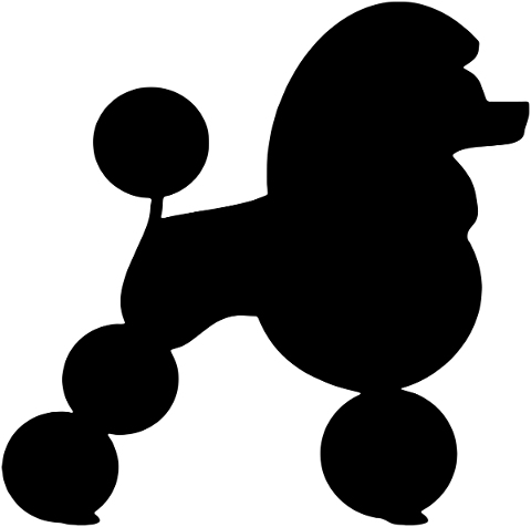 poodle-silhouette-dog-woman-animal-4869556