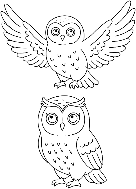 owl-drawing-sketch-art-handmade-10158182