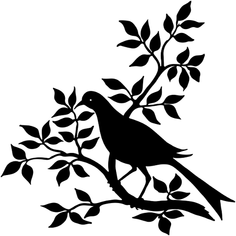 dove-branch-silhouette-pigeon-5052160