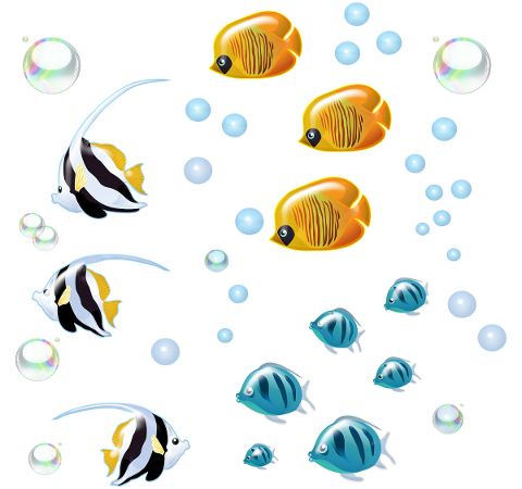 underwater-fish-bubbles-swimming-4774260