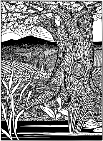 oak-tree-landscape-line-art-vintage-5310902