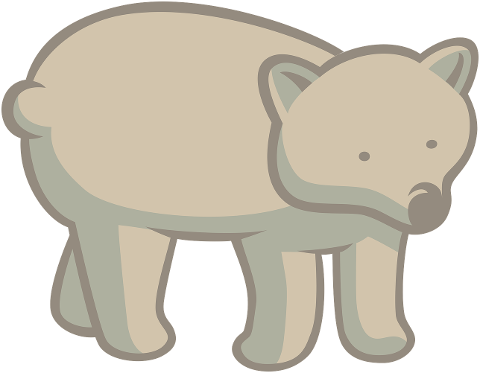 bear-nature-animal-wildlife-mammal-9251896