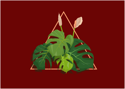 plant-monstera-design-logo-leaves-5690579