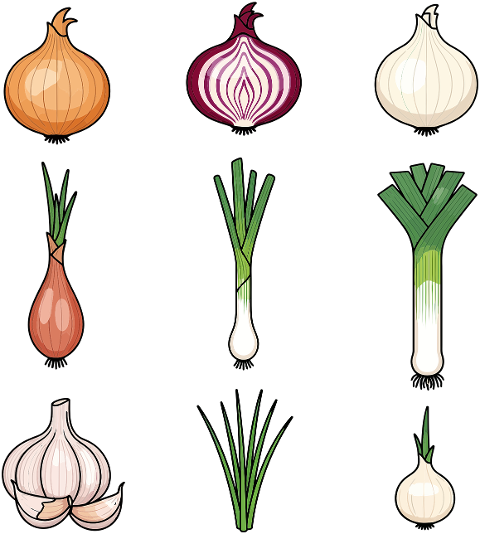 onion-garlic-leek-shallot-chive-9915218