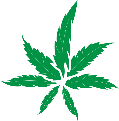 marijuana-leaf-drugs-leaves-6184676