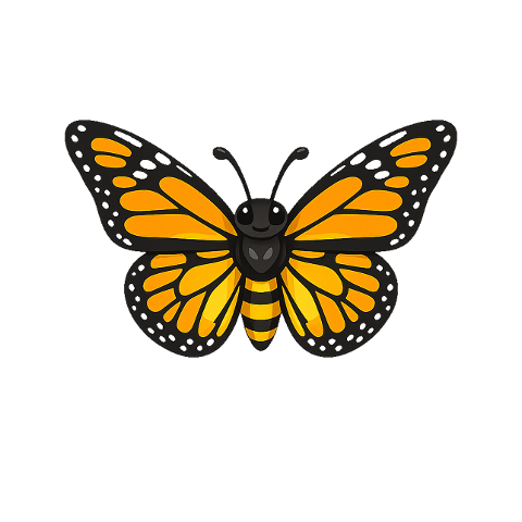 monarch-butterfly-orange-black-10377407
