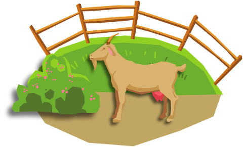 goat-ruminant-horns-fence-5779962