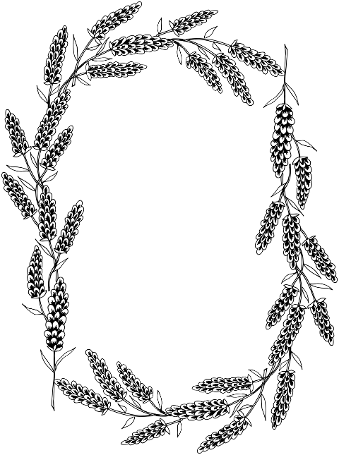 lavender-flowers-frame-border-7681788