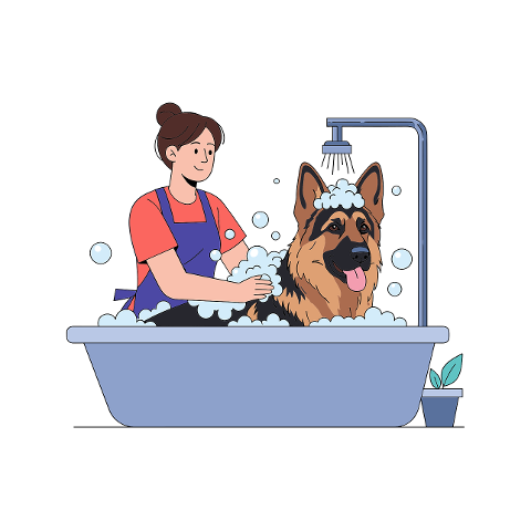 dog-german-shepherd-grooming-pet-9792534