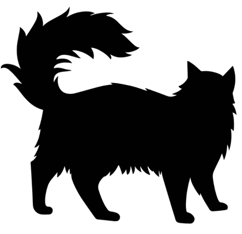 cat-feline-silhouette-animal-7098638