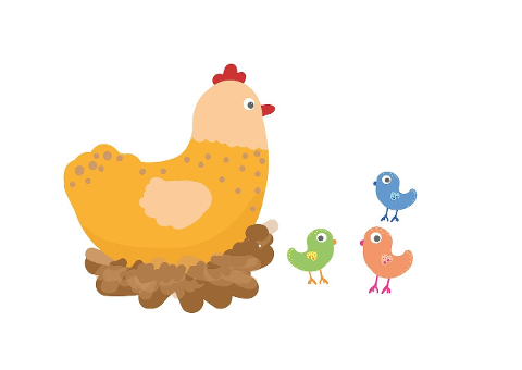 hen-nest-chicks-chicken-birds-6244150