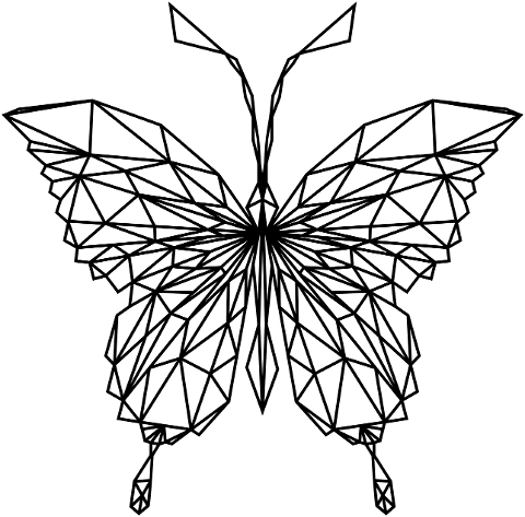 butterfly-insect-polygonal-abstract-6028402