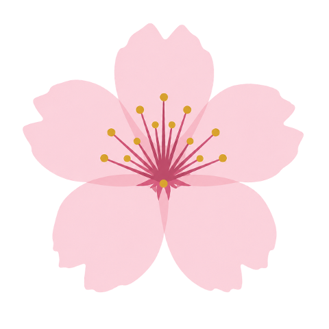 cherry-blossom-pink-flowers-petals-10367584