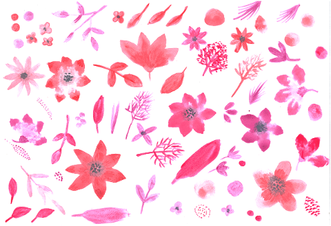 flowers-leaves-watercolor-7696702