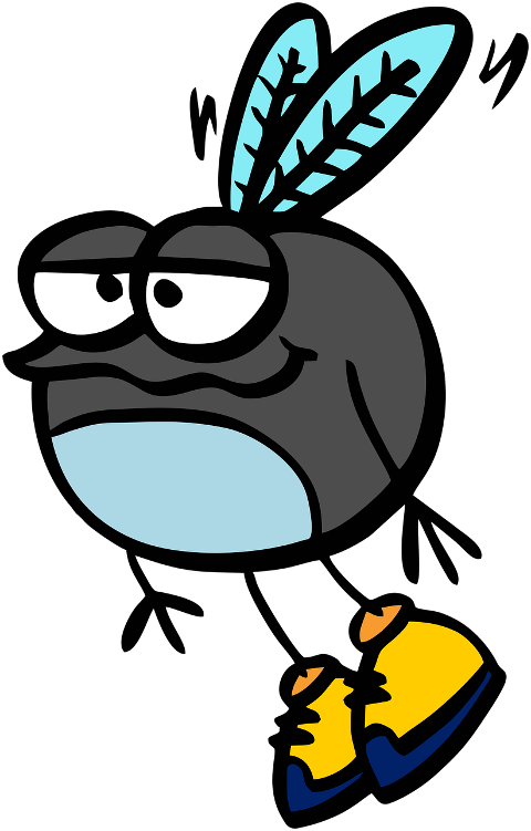 fly-insect-bug-pest-wings-flying-9265733