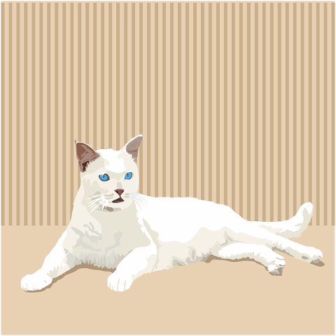 blue-eyes-rest-white-feline-9953273