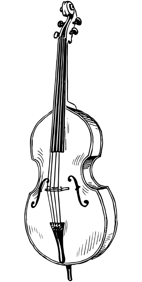 violin-musical-instrument-melody-8026924