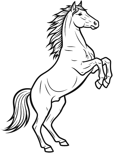 horse-outline-rearing-animal-9929428