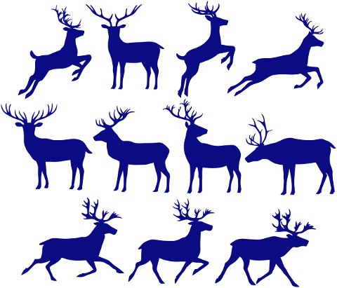 deer-animal-logo-moose-wildlife-6577853