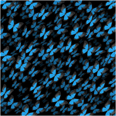 butterflies-insects-animals-wings-9960718