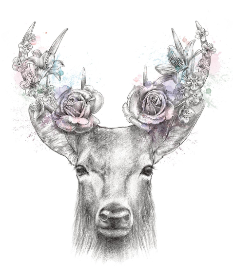 deer-animal-flowers-head-antlers-6224888