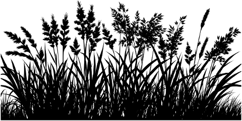 vegetation-grass-silhouette-brush-9612434