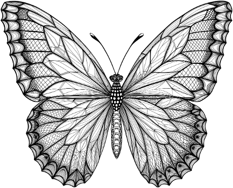 ai-generated-butterfly-insect-9574676