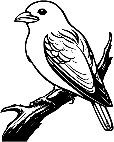 bird-line-art-cartoon-nature-8629780