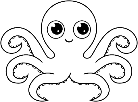 octopus-baby-animal-cute-kawaii-6387502
