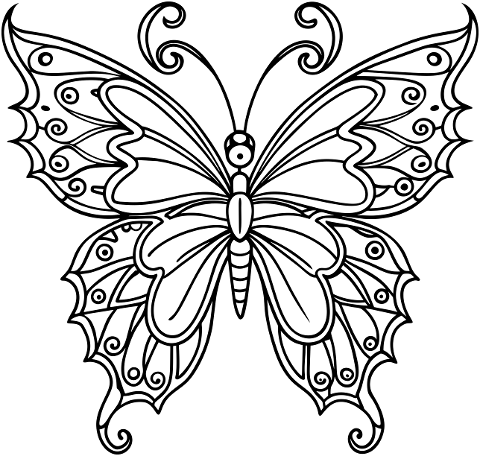 ai-generated-butterfly-insect-9069838