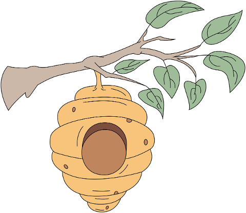 beehive-branch-tree-honey-6140622