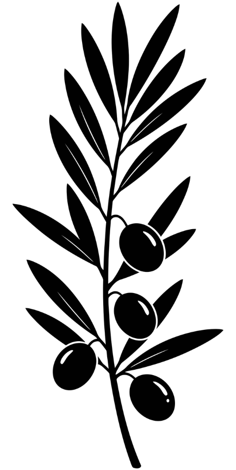 olive-branch-plant-nature-food-10052607